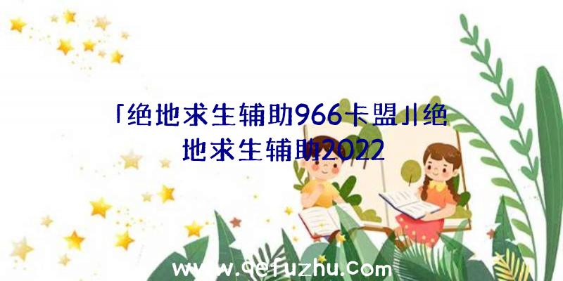 「绝地求生辅助966卡盟」|绝地求生辅助2022